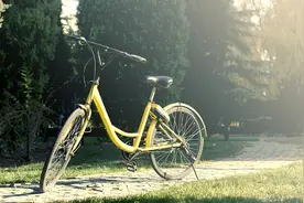 快来看看！关于沈阳电动自行车办牌照图片