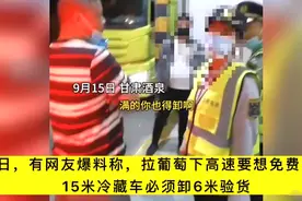 15米冷藏车装葡萄下高速被拦：走绿通就得卸6米验货，满的也得卸，司机：全国都没卸过图片