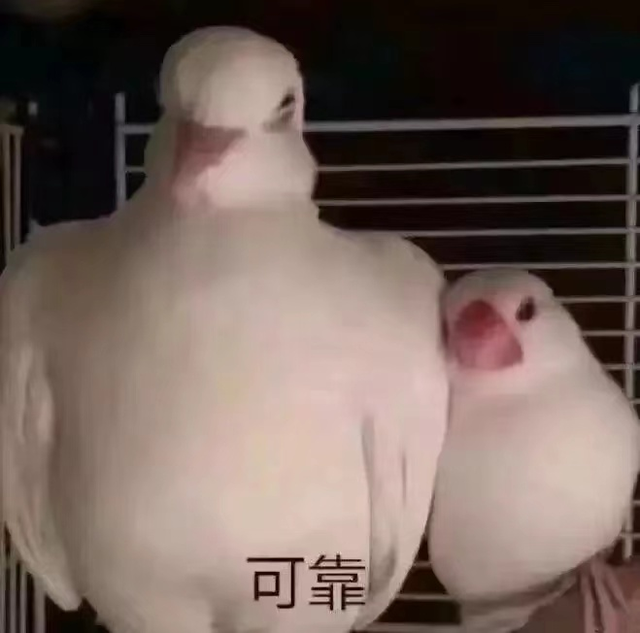 “美丽废物”迷你包，究竟能装点啥？