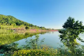 重庆这些新晋网红地，景美好玩又免费图片