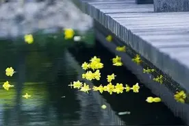 女人为了孩子和家庭放弃了自己的事业和理想，忍受了多少委屈痛苦图片