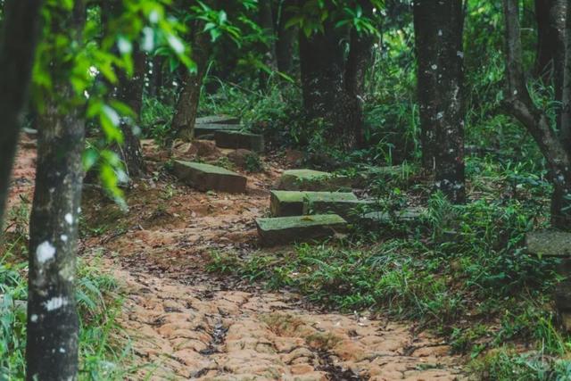 深圳值得征服的10座山，你去过几座？