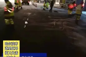 东北这个天儿呀，感觉是逗你玩儿…图片
