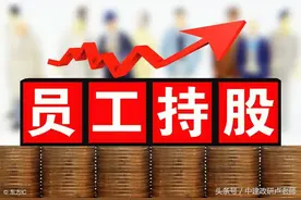 浅谈国企混改流程与员工持股实务问题图片