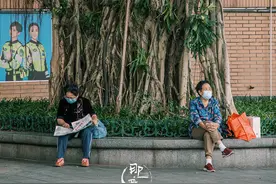 敢动榕树？广州人第一个说不图片