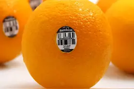 知识产权之窗：世界上最著名的农产品品牌——新奇士：集体的品牌图片