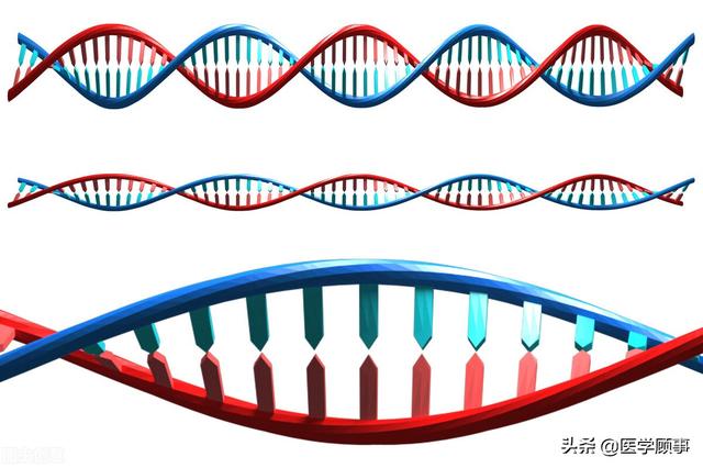 人工智能 AlphaFold根据基因序列预测了蛋白质的三维结构