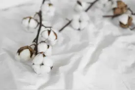 如果，我不曾爱上你图片