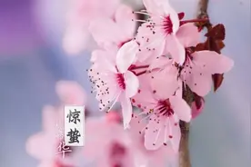 惊蛰前后这样推拿，让孩子的气血能量进一步振发图片