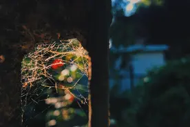 女生对男生是崇拜的，男生对女生是宠爱的图片