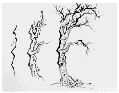 鱼鳞柏树