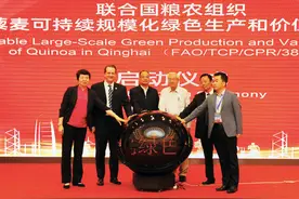 联合国粮农组织启动青海藜麦项目图片
