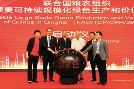 联合国粮农组织启动青海藜麦项目图片
