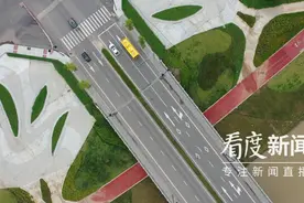 一文读懂！东部新区九大片区的成果与未来图片