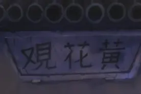 鲜为人知的86版《西游记》建筑物取景地，气势磅礴图片