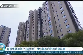 两个烟囱漏水修了96平米，花费4万多 南京金陵尚府业主：维修基金被滥用图片