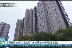 两个烟囱漏水修了96平米，花费4万多 南京金陵尚府业主：维修基金被滥用图片