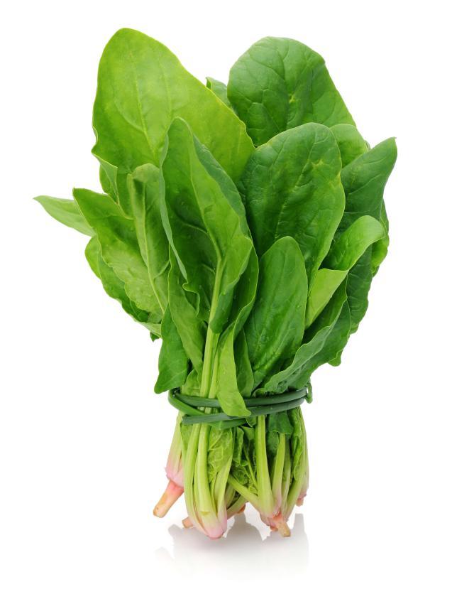 菠菜 spinach卷心菜/包菜 cabbage娃娃菜 baby chinese cabbage大白菜