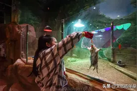 上海冬天这么玩！宝燕乐园旗舰店亲子冬日玩水攻略图片