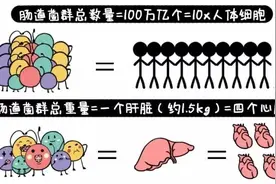 常吃益生菌，肠道更年轻#舒导益生菌#图片