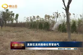 高新区高四路绿化带冒热气 咋回事？图片