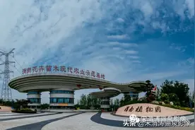 陕西渭南：满园青翠欲滴，花立方里多肉迷人，渭南植物园欢迎您图片