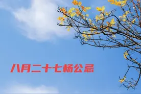 八月二十七“杨公忌”，真杨公与传说非同一人，真杨公是堪舆祖师图片