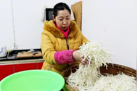 芥菜疙瘩便宜了，切了10斤的芥菜丝，做了冬季常备的小咸菜