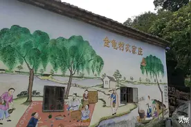 游坪葵路上深圳最美乡村露营公园，看马峦山下潺潺溪流中的金龟村图片