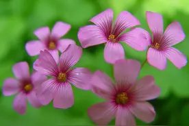 闺蜜的儿子年薪200万，节日见面，为她高兴的同时，心里有点心酸图片