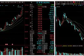 涨停复盘：比亚迪、宁德时代继续火爆，有一个风险点你一定要知道图片