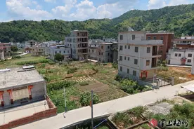 产业生态比翼飞，美了乡村富了民！来跟记者去兴宁市黄陂镇“探村”图片