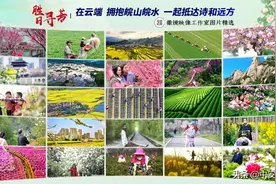 胜日寻芳｜在云端 拥抱皖山皖水图片