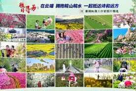 胜日寻芳｜在云端 拥抱皖山皖水图片