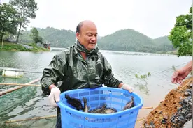 你知道鳜鱼有哪些品种吗？图片