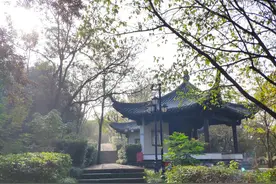 活在这世上，大家都不容易图片