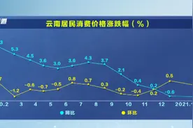 2月份云南CPI价格同比继续下降图片