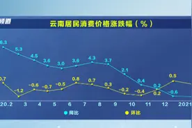 2月份云南CPI价格同比继续下降图片