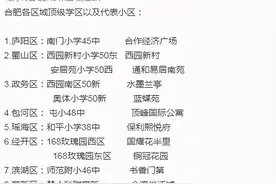 重磅！合肥248个小区超77%热门学区房价格上涨图片