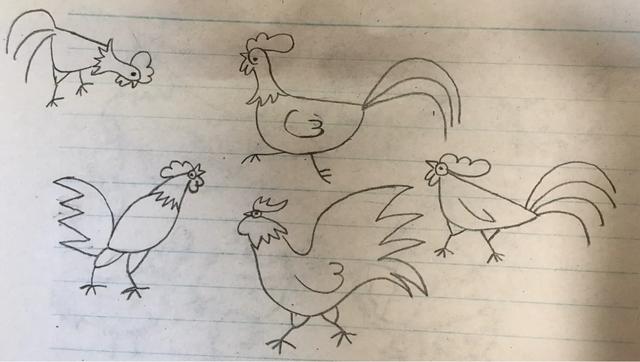 儿童简笔画精选【家禽家畜】-肉鸡(chicken)的绘画教程(鸡笔画是什么)