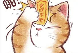 【头像】贴符猫咪，你的愿望都能实现图片