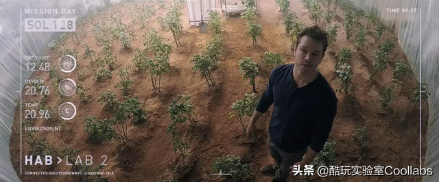 土豆到底能不能当饭吃？袁隆平生前是这么说的