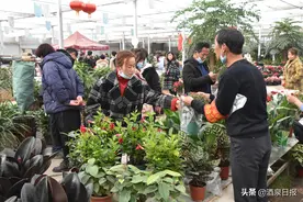 新春走基层｜看酒泉肃州区泉湖镇乡村振兴路上的新梦想图片