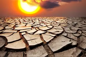 癌细胞的自述：我是如何一步步“吸干”人类营养的？图片