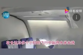 12岁硬核男孩独自回国：独立的品格是给孩子最好的铠甲图片