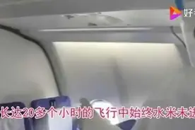 12岁硬核男孩独自回国：独立的品格是给孩子最好的铠甲图片