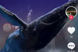 抖音60级神豪超越梦想哥的专属礼物鲲鹏万里图片