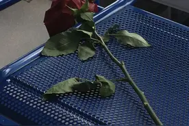 间歇性讨厌男朋友怎么办？图片