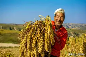 秋季摄影，怎能少得了麦田与农庄图片