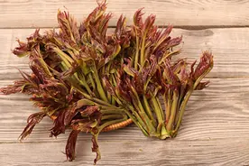 奶奶腌香椿菜秘方，只需3步就做好，放一年都不坏，吃着比肉还香图片